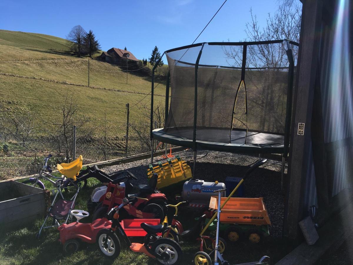 3,5 Zimmerferienwohnung Schwalbenaescht Rueeggisberg Exteriér fotografie